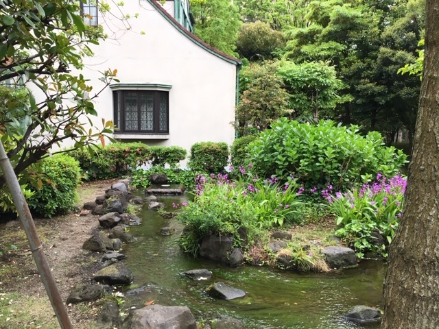 小さな水辺~~~_c0228466_14040802.jpg