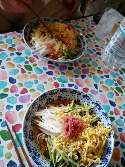 歯医者とトリミング_c0162773_22063037.jpg