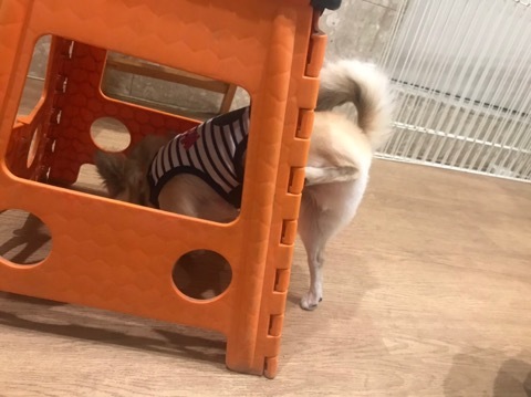 トレーニングブログ_f0357682_18321262.jpeg