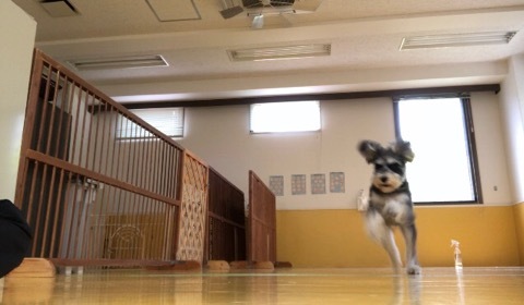 トレーニングブログ_f0357682_18335355.jpeg