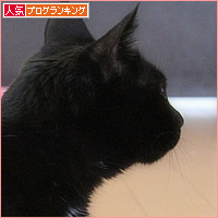 どこまで盛れる?_a0389088_02444012.jpg