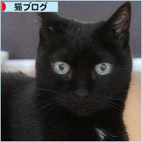 どこまで盛れる?_a0389088_02444057.jpg