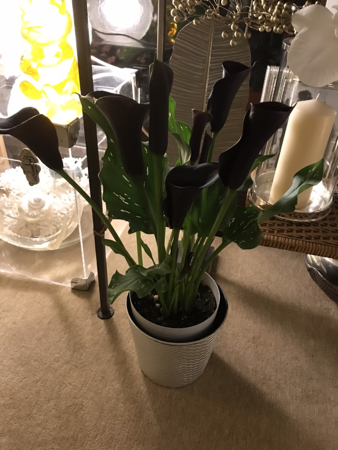 嬉しいお花のプレゼント♪_d0339889_18430088.jpg