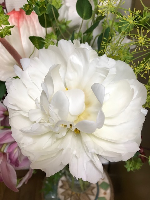 母の日の花_f0204295_11262961.jpg