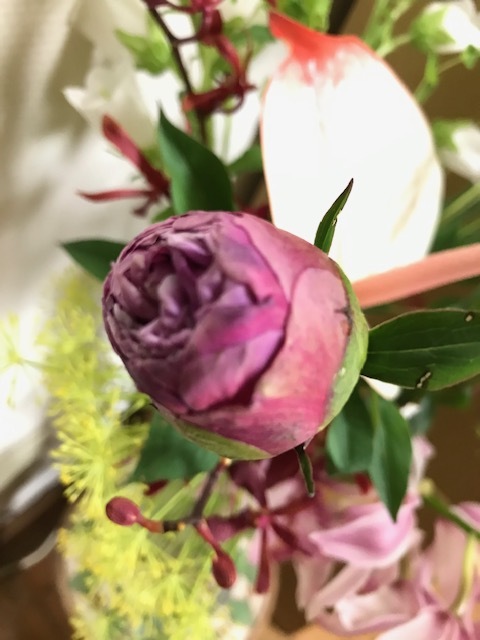 母の日の花_f0204295_11351274.jpg