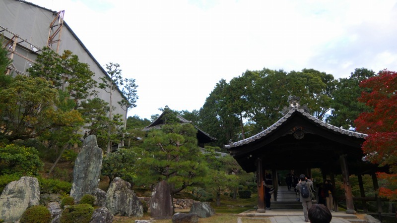 国内出張2019年11月－第一日目ー東福寺_c0153302_18092267.jpg