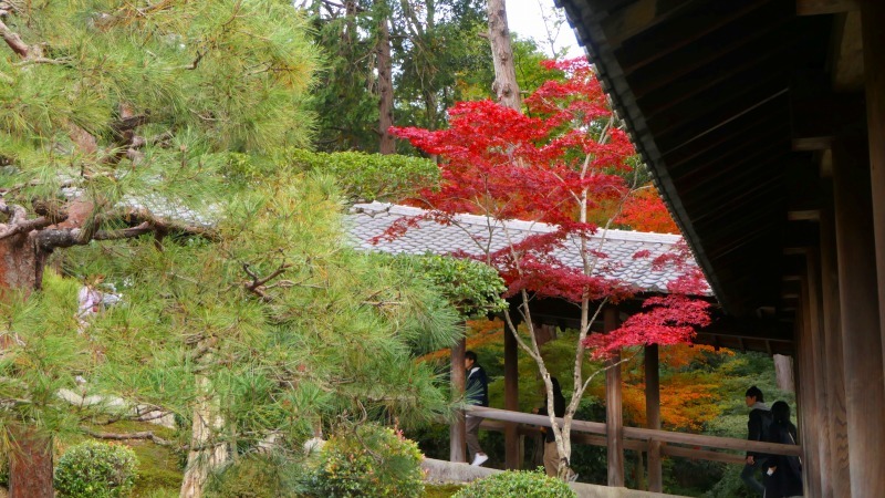 国内出張2019年11月－第一日目ー東福寺_c0153302_18191235.jpg