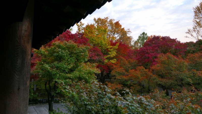 国内出張2019年11月－第一日目ー東福寺_c0153302_18361028.jpg