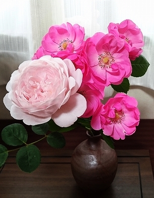 きれいに開花しない「アンジェラ」_e0289203_15285886.jpg