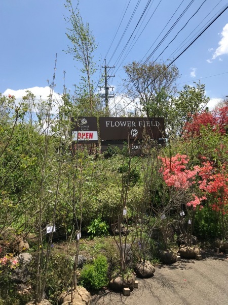 花と木と_d0035921_17565508.jpg