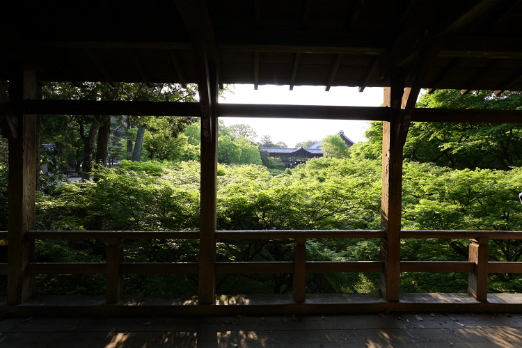 京都回顧 新緑の東福寺界隈 臥雲橋 通天橋 memory of kyotolife 京都回顧 新緑の東福寺界隈 臥雲橋 通天橋 memory of kyotolife