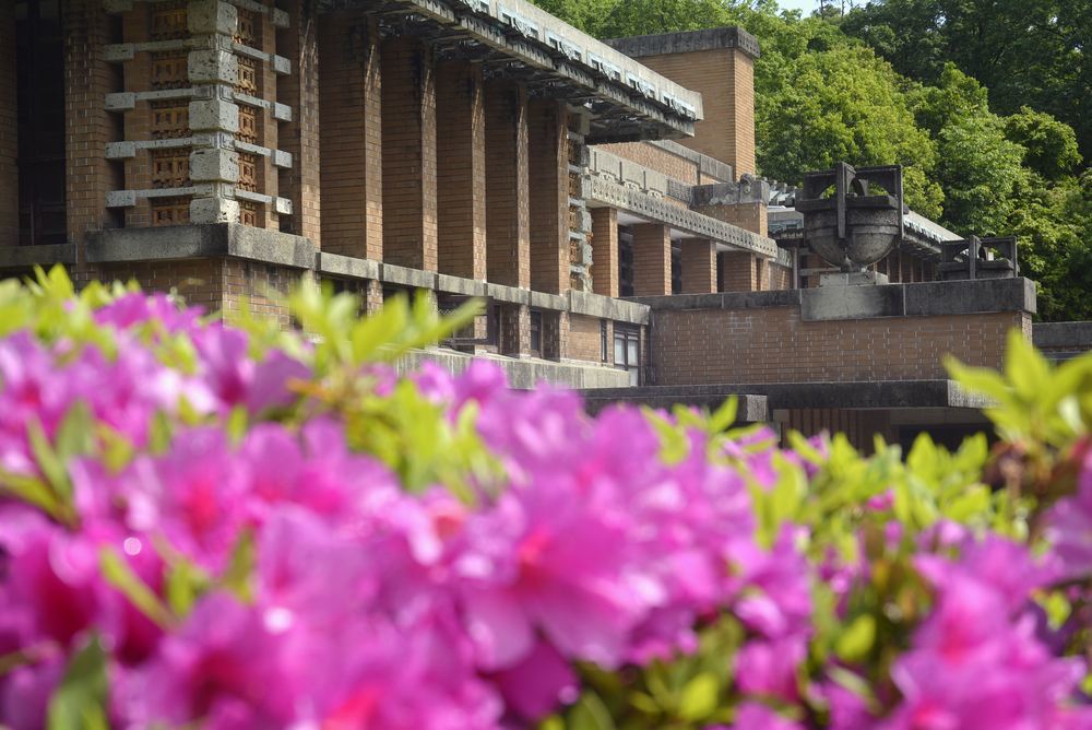 帝国ホテル中央玄関とツツジの花_e0373930_10080343.jpg