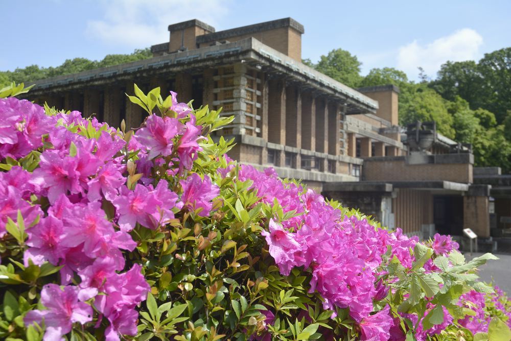 帝国ホテル中央玄関とツツジの花_e0373930_10080367.jpg