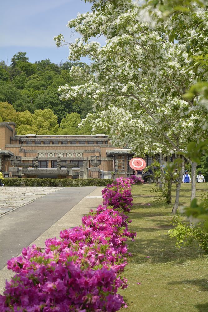 帝国ホテル中央玄関とツツジの花_e0373930_10080492.jpg