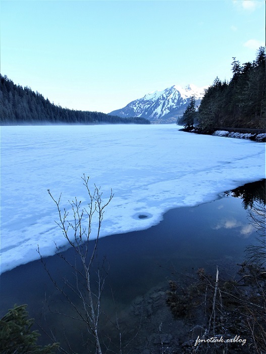 湖の北 芽吹き 水の流れ_d0356844_01335358.jpg