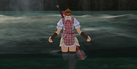 FFXI18周年おめでとうございます。_e0401547_18564043.png