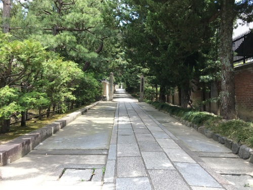 新茶摘み、道具市つまみ食い_b0153663_00425129.jpeg