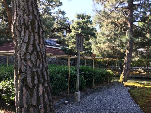 新茶摘み、道具市つまみ食い_b0153663_00434086.jpeg