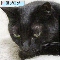猫の寝方それぞれ_a0389088_05001316.jpg
