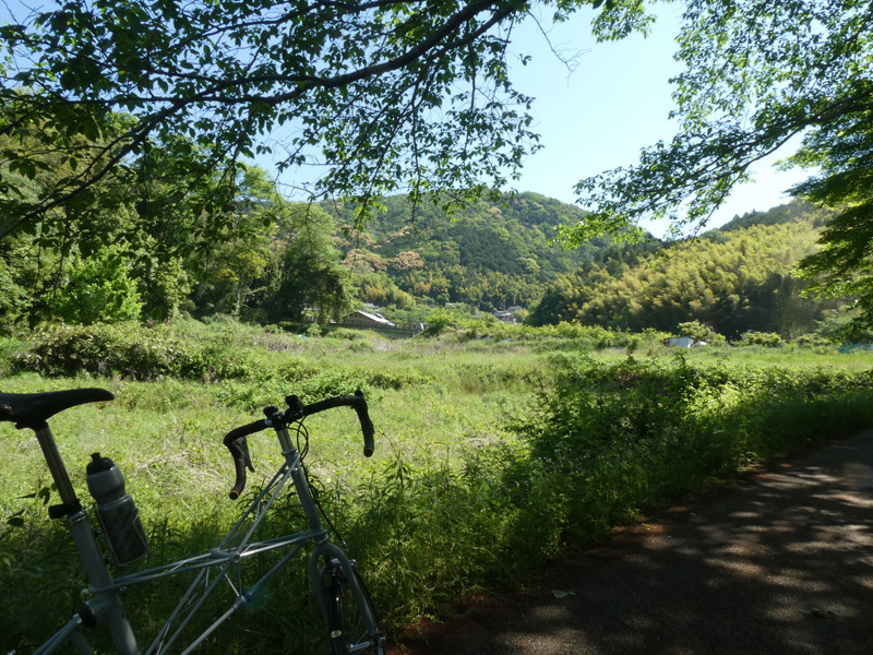春うらら。。。_d0383596_09073011.jpg
