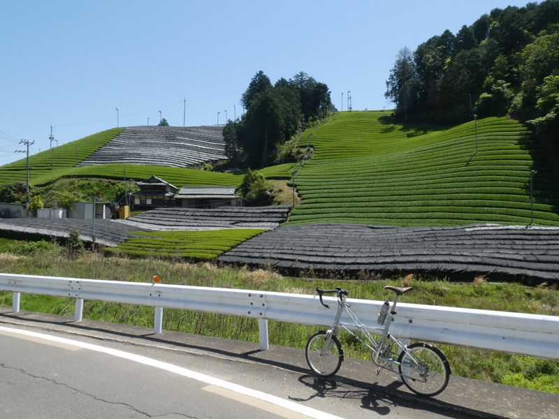 春うらら。。。_d0383596_09073234.jpg