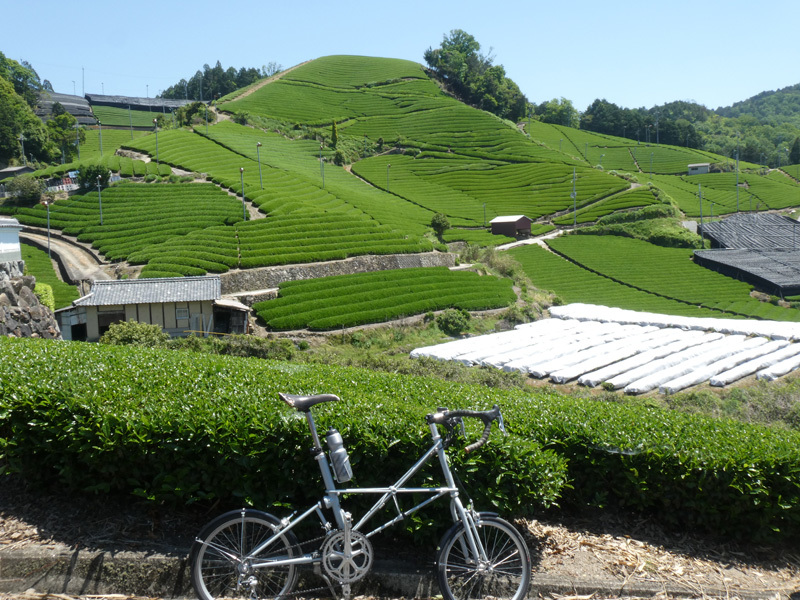 春うらら。。。_d0383596_09073970.jpg