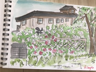 薔薇の季節_f0231309_16180745.jpg