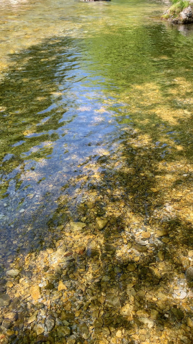 5月の風に乗って_c0227612_16563564.jpg