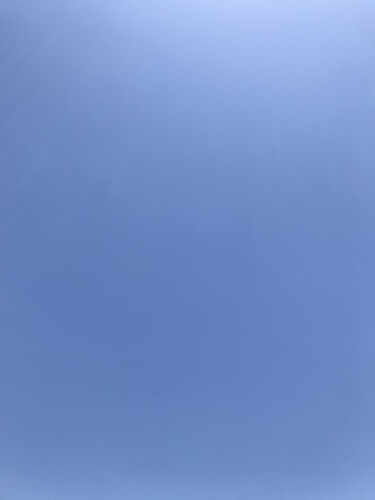 休業日ブログ・その38_e0195325_18512660.jpeg