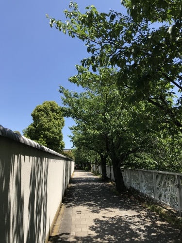 休業日ブログ・その38_e0195325_18515365.jpeg