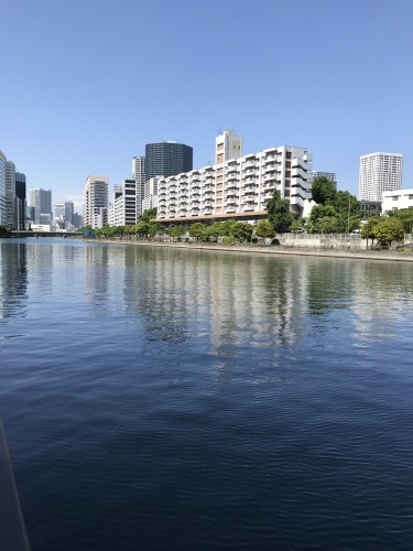 休業日ブログ・その38_e0195325_18535987.jpeg