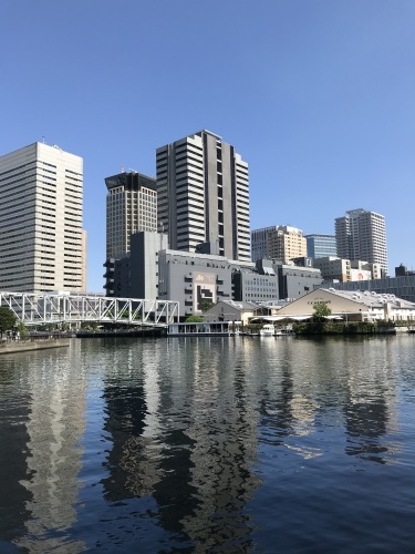 休業日ブログ・その38_e0195325_18552741.jpeg