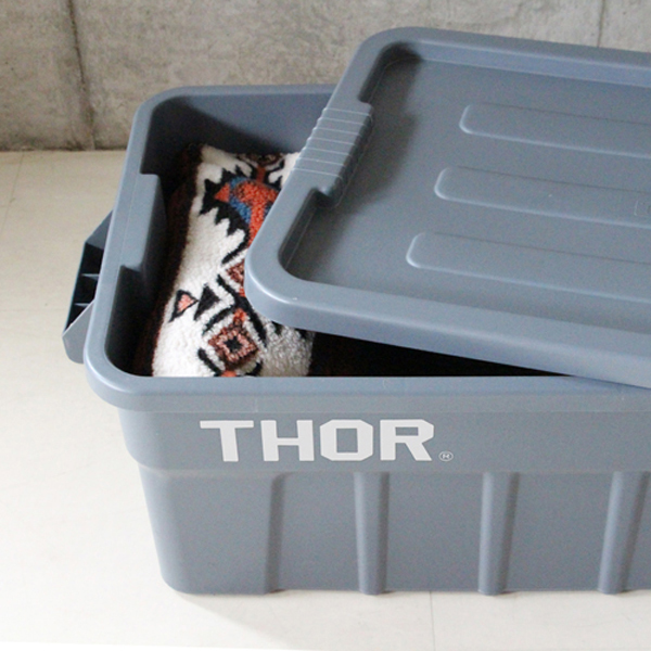 THOR_e0130464_14533909.jpg