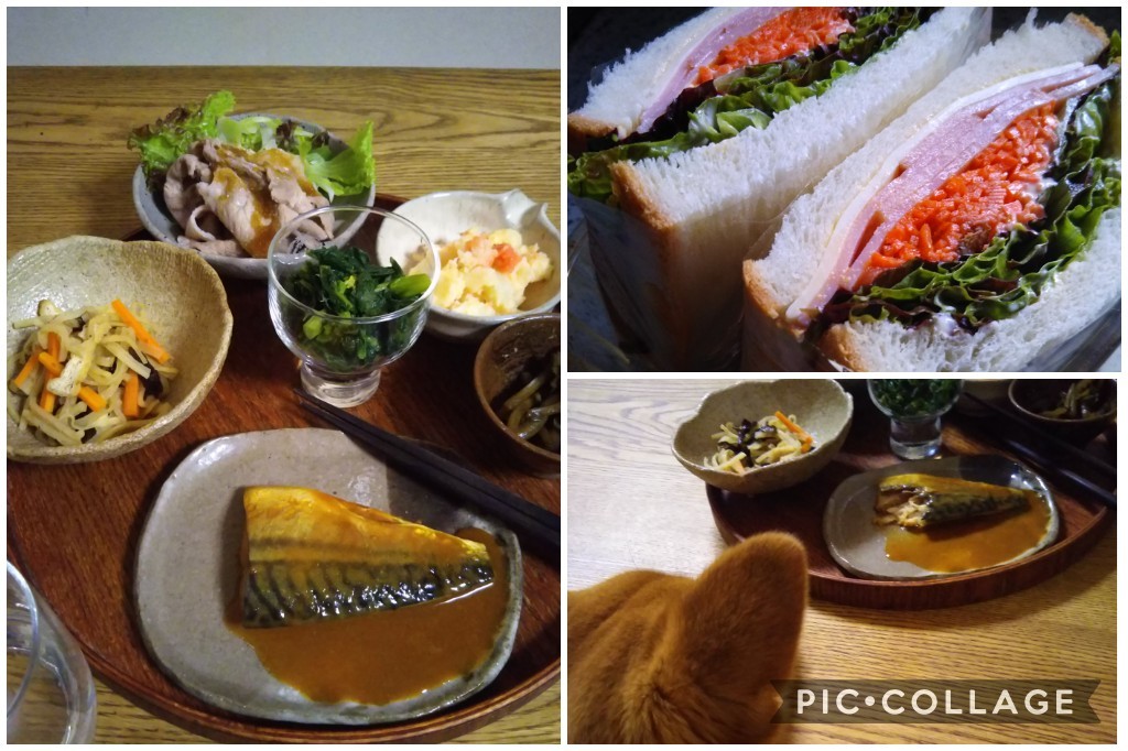 自分の為に_f0095265_20192209.jpg