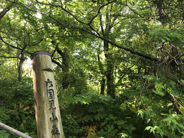 新緑を引き立てる雪のように白いエゴノキの花5・17_c0014967_16034227.jpg