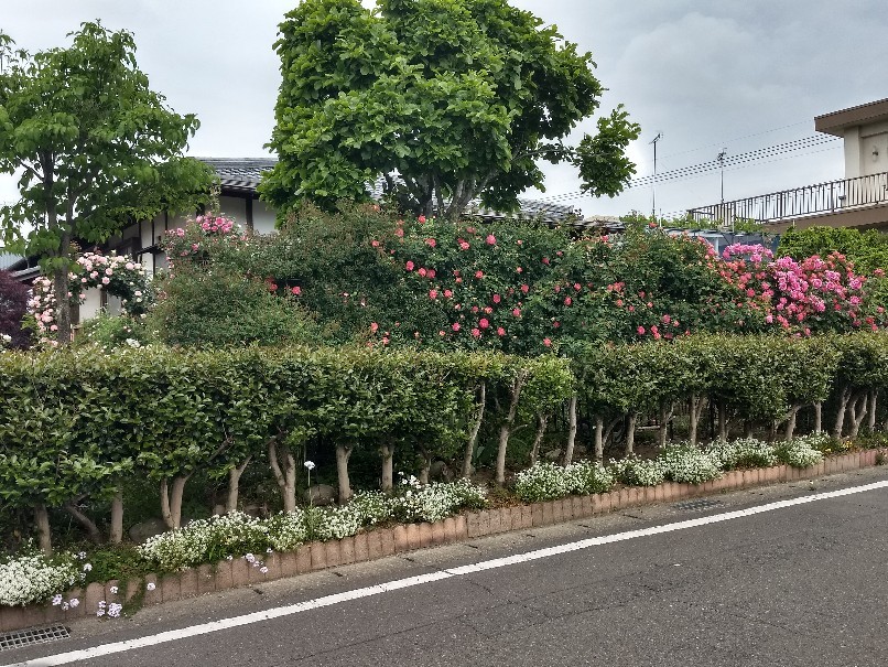 YouTubeちょっと分かった?_e0356469_21142613.jpg