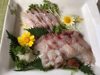 5月のお魚取り寄せ便 ヘダイ ホタルイカ やせっぽちソプラノのキッチン２