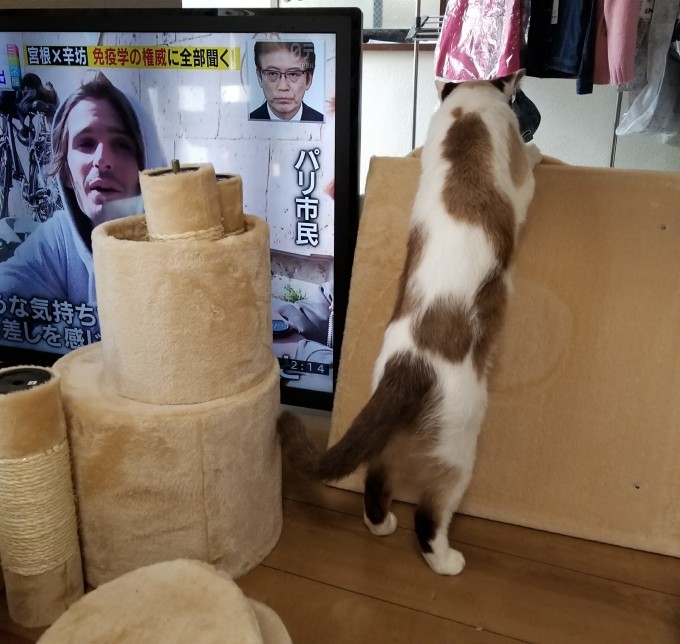 ちぃちゃん お手伝いする_c0369492_09505570.jpg