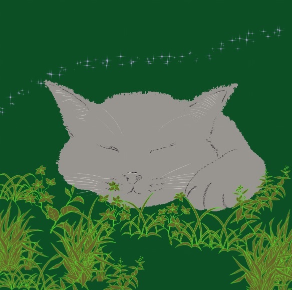 止められない とまらない_a0333195_16304448.jpg