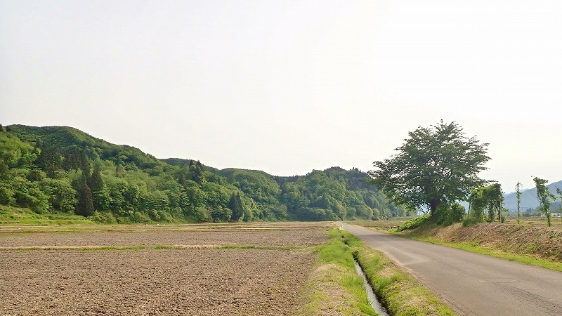 定点撮影しています_c0336902_21140356.jpg