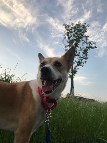 きれいな夕陽を見ながら♪_f0242002_17070002.jpg