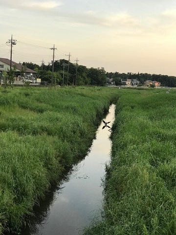 きれいな夕陽を見ながら♪_f0242002_17134706.jpg