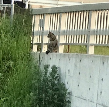 きれいな夕陽を見ながら♪_f0242002_17195772.jpg