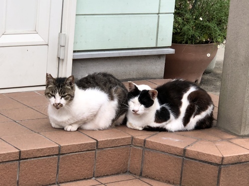 上りよりも下りが大事_d0184114_20592198.jpeg