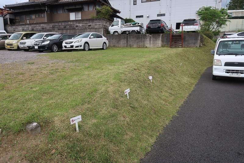 B4の直噴ターボと天然のラッキョウ_f0076731_20563108.jpg