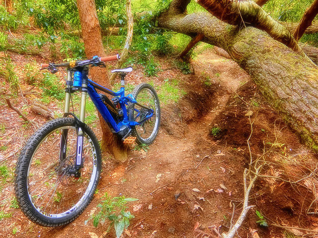 MERIDA eONE-SIXTY adventure XXXI_b0049658_18024577.jpg