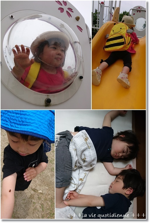 ハムマヨロールと二度寝しない姫を1時間半寝た状態からの二度寝の秘策!_a0348473_23020294.jpg