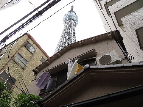 免疫力や話力について問いかけます。_b0141773_20154551.jpg