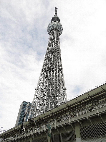免疫力や話力について問いかけます。_b0141773_20235961.jpg