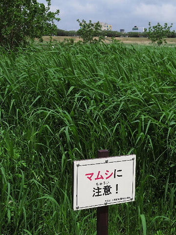 免疫力や話力について問いかけます。_b0141773_20261558.jpg